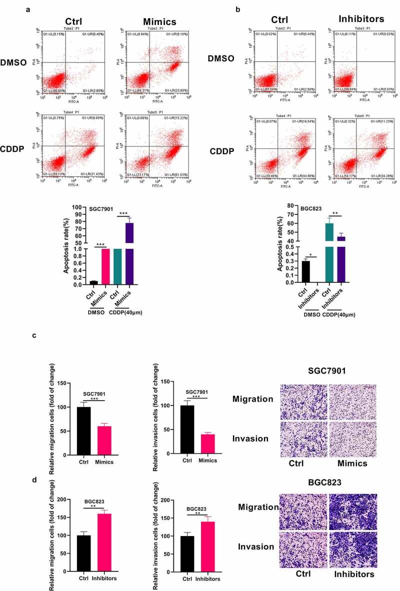 miR-148-3p inhibits gastric cancer cell malignant phenotypes and chemotherapy resistance by targeting Bcl2.