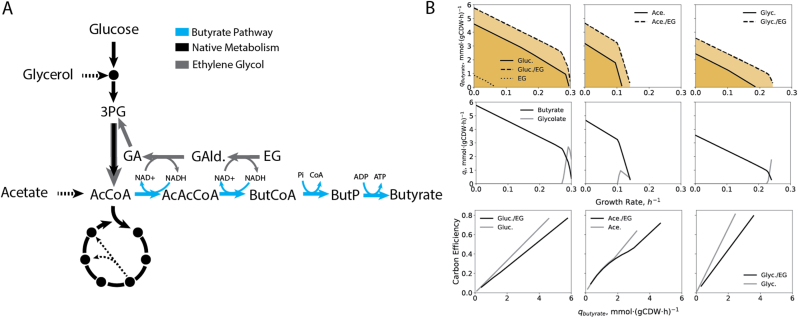 Co-consumption for plastics upcycling: A perspective