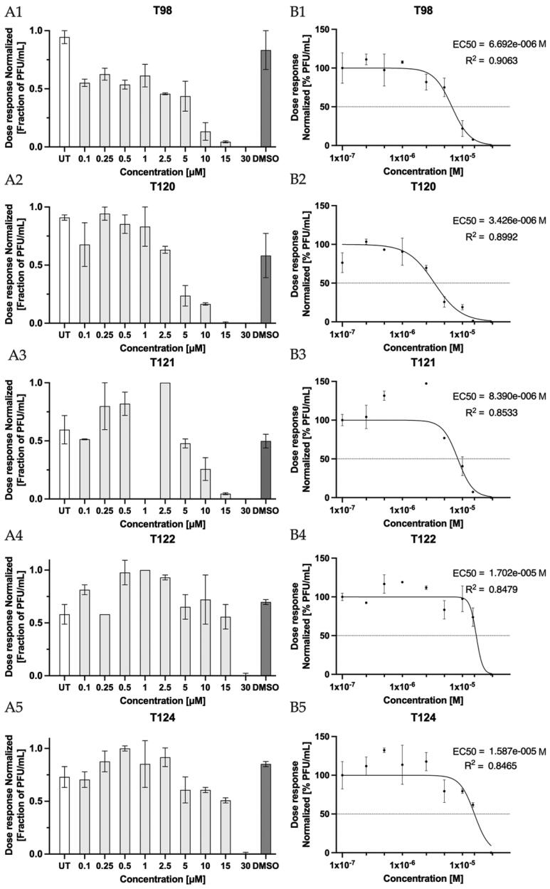 Identification and evaluation of antiviral activity of novel compounds targeting SARS-CoV-2 virus by enzymatic and antiviral assays, and computational analysis.
