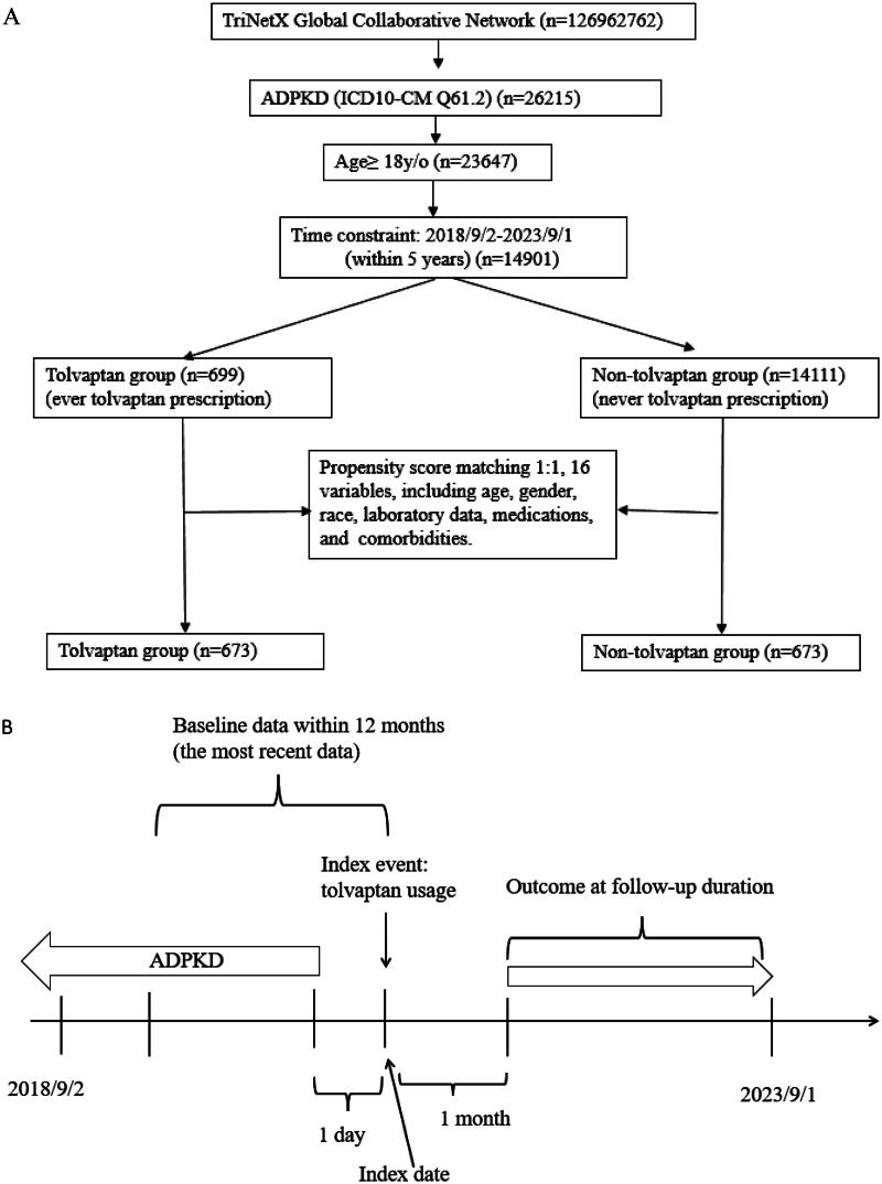 Effectiveness of tolvaptan on renal replacement therapy in patients with autosomal dominant polycystic kidney disease: a retrospective cohort study from the TriNetX global collaborative network.