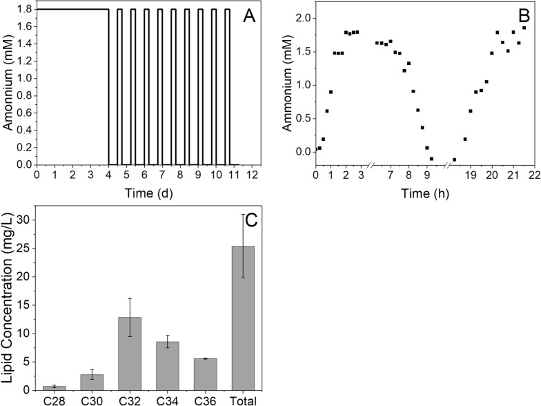 Lipid production from biofilms of Marinobacter atlanticus in a fixed bed bioreactor.