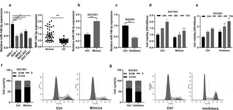 miR-148-3p inhibits gastric cancer cell malignant phenotypes and chemotherapy resistance by targeting Bcl2.