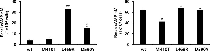 Signal Transduction of Constitutive Activating and Inactivating Eel Lutropin/Choriogonadotropin Receptor (Eel LH/CGR) Mutants by Recombinant Equine Chorionic Gonadotropin (Rec-eCG).