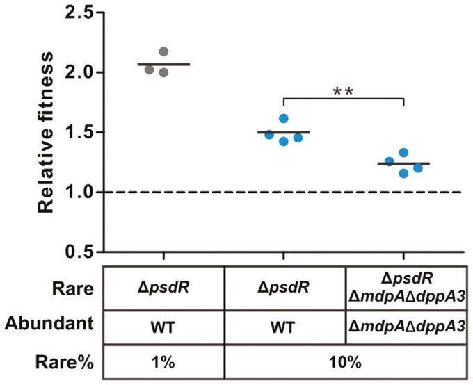 Co-regulation of cooperative and private traits by PsdR in <i>Pseudomonas aeruginosa</i>.