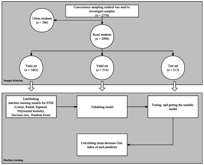Prediction of non-suicidal self-injury (NSSI) among rural Chinese junior high school students: a machine learning approach.