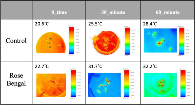 Evaluation of some photosensitizers against the cotton leaf worm, Spodoptera littoralis (Lepidoptera: Noctuidae), in relation to spectral and thermal reflectance.