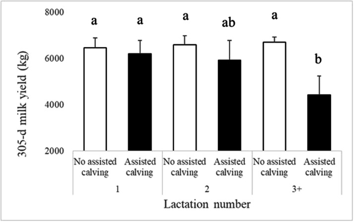 Effects of assisted calving and retained fetal membranes on milk production in the smallholder farming system