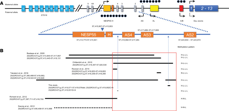Recurrent small variants in NESP55/NESPAS associated with broad GNAS methylation defects and pseudohypoparathyroidism type 1B.