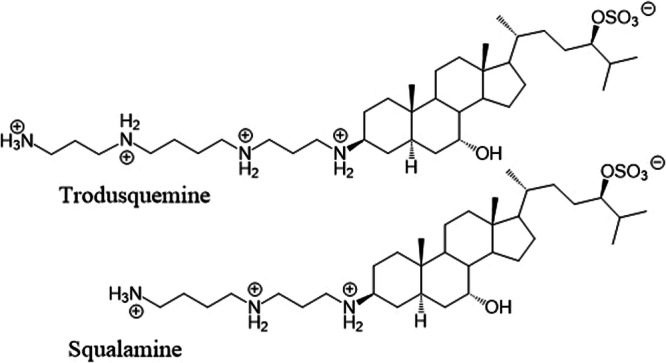 Anti-aging properties of the aminosterols of the dogfish shark.