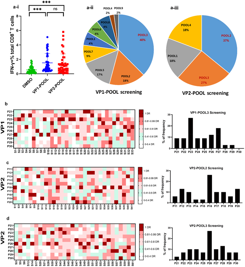 Characteristics of Norovirus capsid protein-specific CD8<sup>+</sup> T-Cell responses in previously infected individuals.