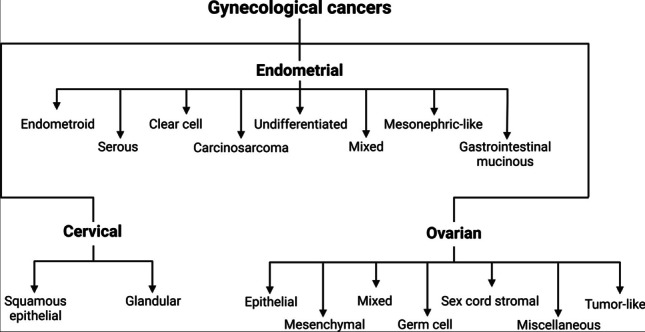 Ribosomal rodeo: wrangling translational machinery in gynecologic tumors.