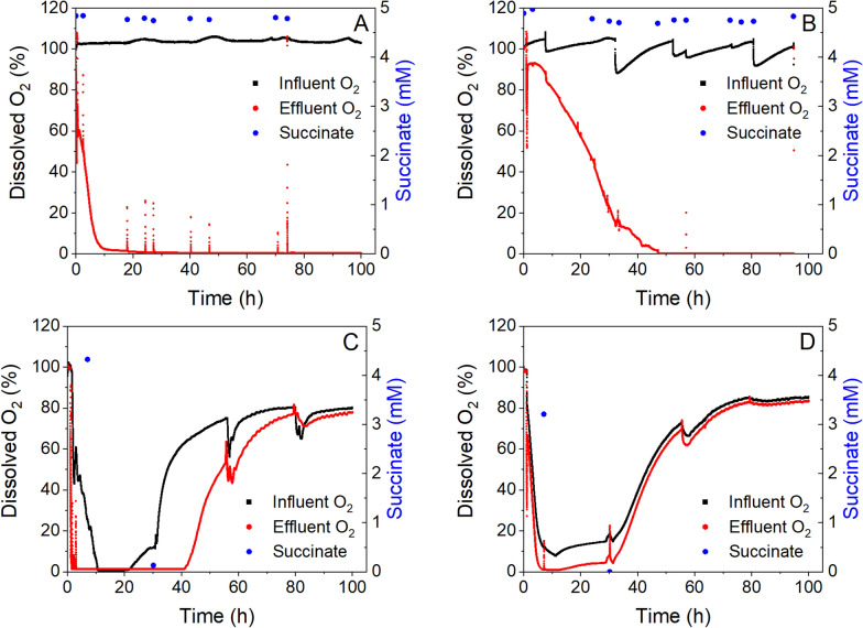 Lipid production from biofilms of Marinobacter atlanticus in a fixed bed bioreactor.
