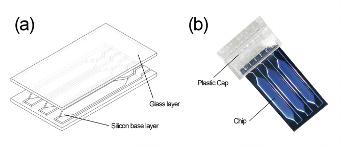 Rapid, multiplex and automated detection of bacteria and fungi in endophthalmitis via a microfluidic real-time pcr system.