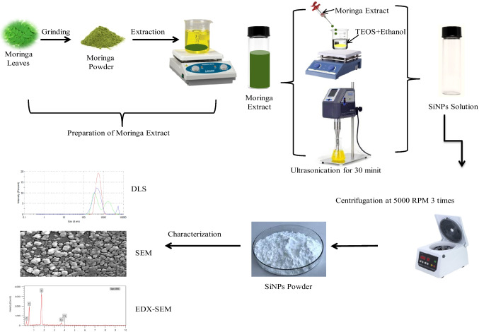 Combating Spodoptera frugiperda (Lepidoptera: Noctuidae) with Moringa-Synthesized Silica Nanoparticles and Its Combination with Some Insecticides.