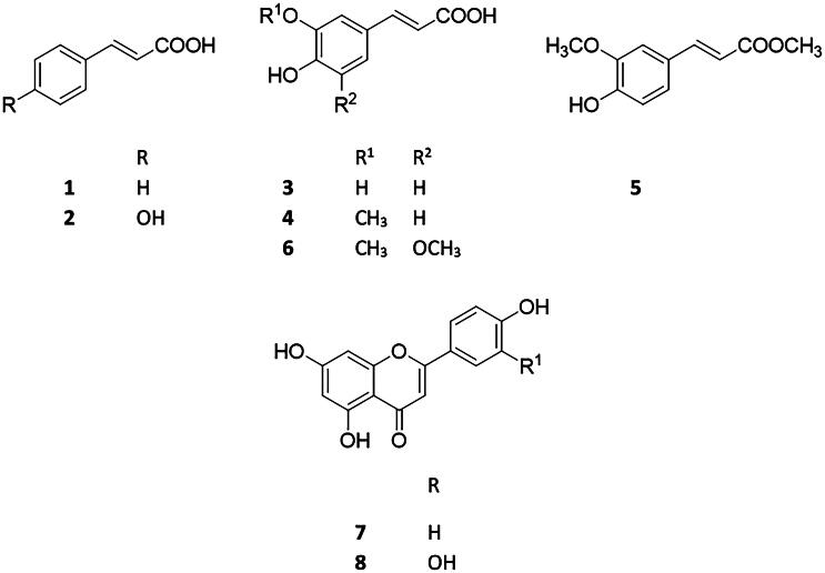 Synergistic effect of phenylpropanoids and flavonoids with antibiotics against Gram-positive and Gram-negative bacterial strains.
