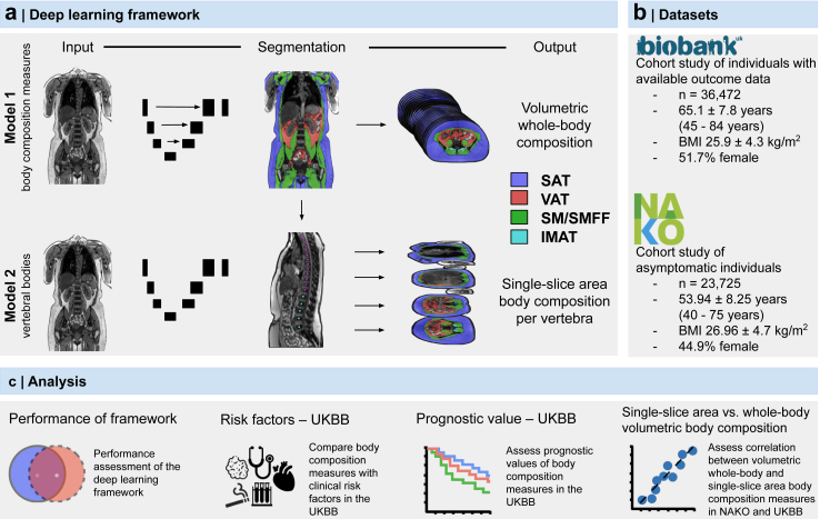 Deep learning-based body composition analysis from whole-body magnetic resonance imaging to predict all-cause mortality in a large western population.
