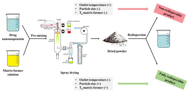 Updates on the conversion of nanosuspensions to solid oral dosage forms.