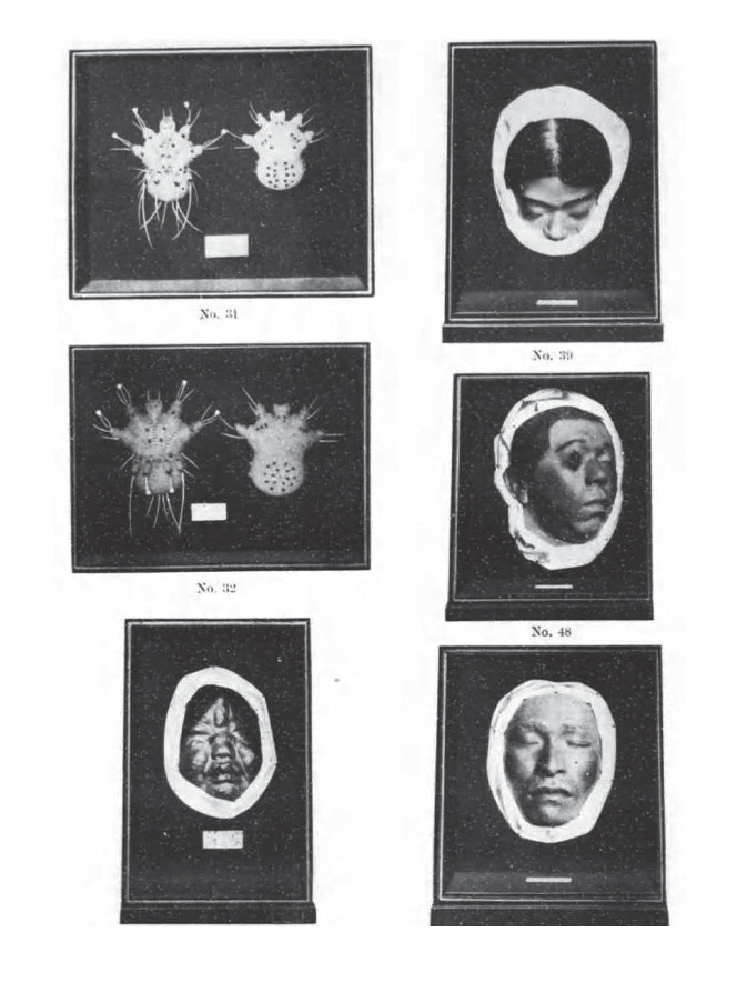 Modern Medical and Hygiene Exhibitions of the Japanese Colonial Period.