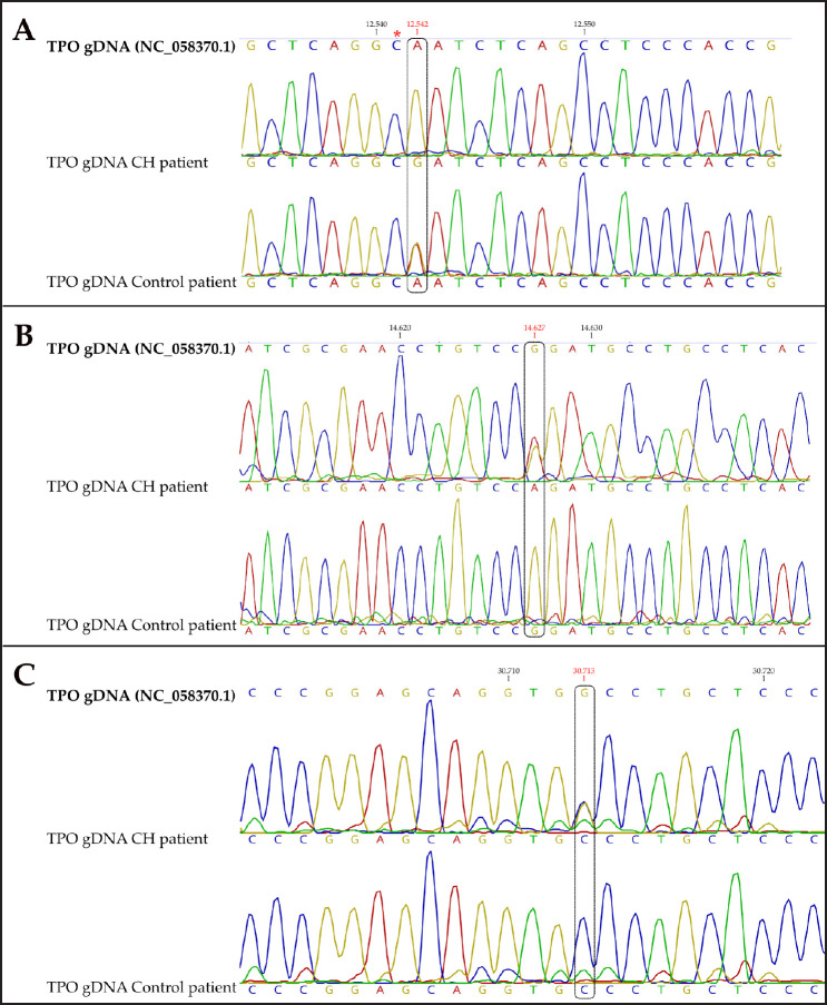 Molecular detection of a novel mutation in the <i>TPO</i> gene associated with congenital hypothyroidism in a cat: Case report.