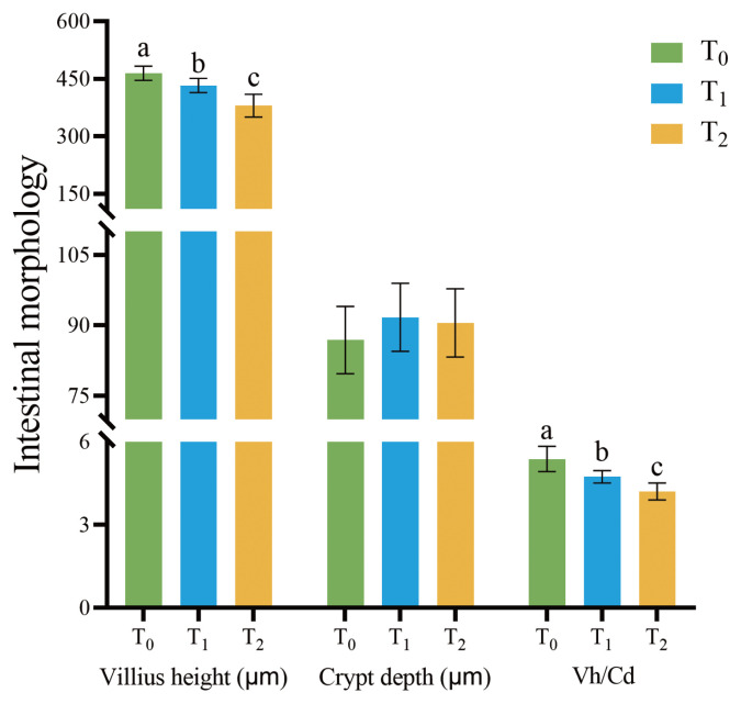 Dietary Mulberry leaf 1-deoxynijirimycin supplementation shortens villus height and improves intestinal barrier in fattening rabbits.