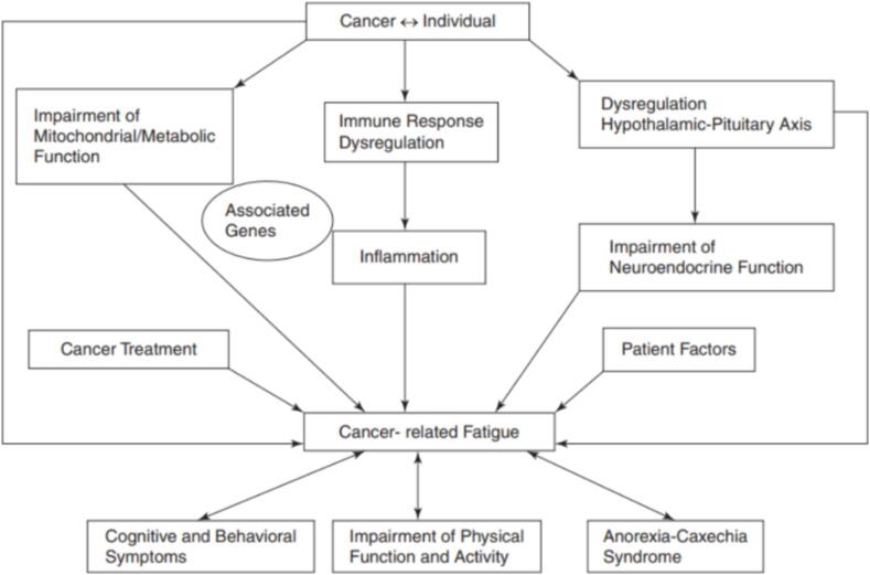 Illuminating the hidden cost: A systematic review of cognitive late effects regarding cancer-related fatigue in treated paediatric brain tumors