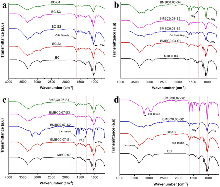 Citrate-modified bacterial cellulose as a potential scaffolding material for bone tissue regeneration.