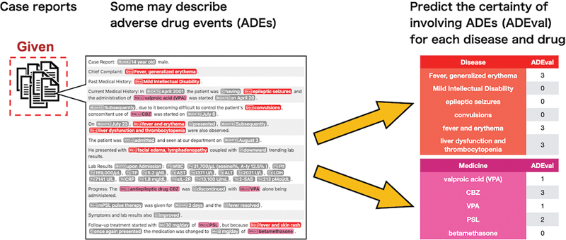 Cross-lingual Natural Language Processing on Limited Annotated Case/Radiology Reports in English and Japanese: Insights from the Real-MedNLP Workshop.