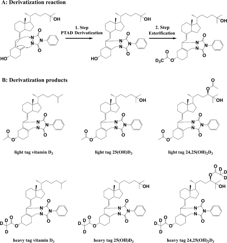 Streamlined Vitamin D Metabolite Fingerprinting Analysis Using Isotope-Coded Multiplexing MS with Cost-Effective One-Pot Double Derivatization.
