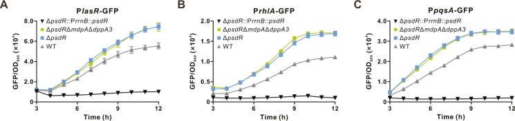 Co-regulation of cooperative and private traits by PsdR in <i>Pseudomonas aeruginosa</i>.