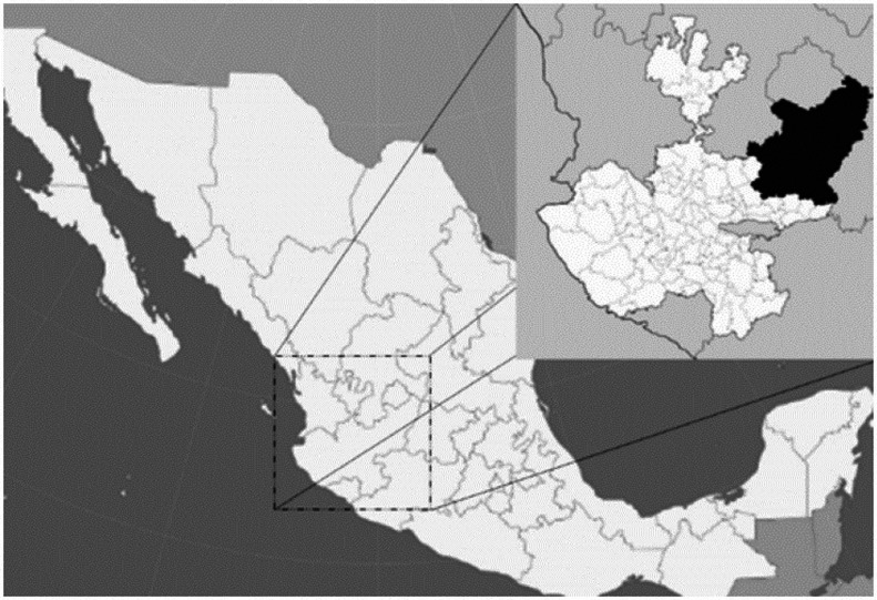 Effects of assisted calving and retained fetal membranes on milk production in the smallholder farming system