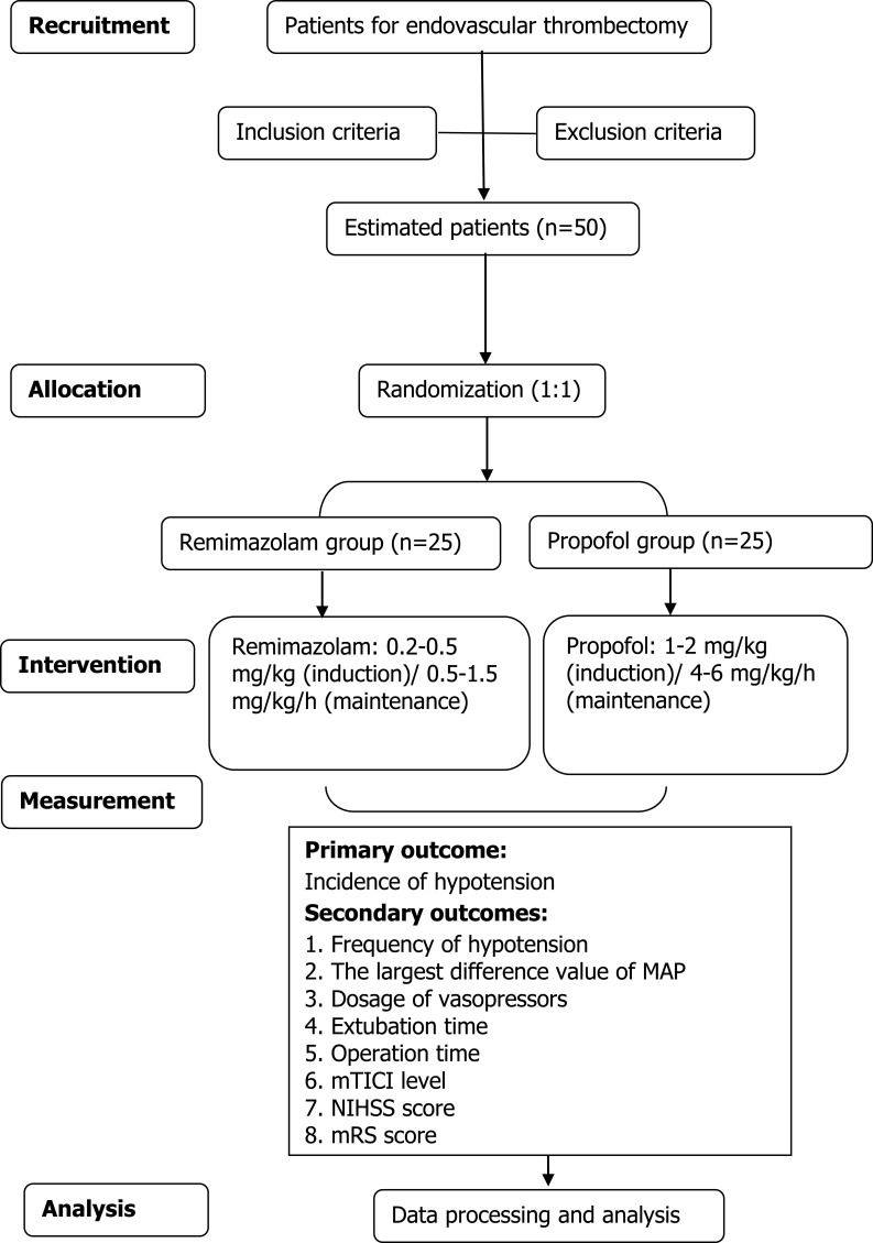 The Effects of Remimazolam versus Propofol on Endovascular Thrombectomy for Acute Ischemic Stroke: Study Protocol for a Randomized Controlled Trial.