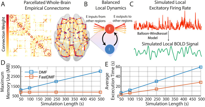 Neural mass modeling for the masses: Democratizing access to whole-brain biophysical modeling with FastDMF.