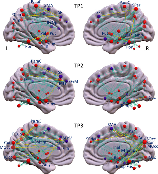 Longitudinal network changes and phenoconversion risk in isolated REM sleep behavior disorder.