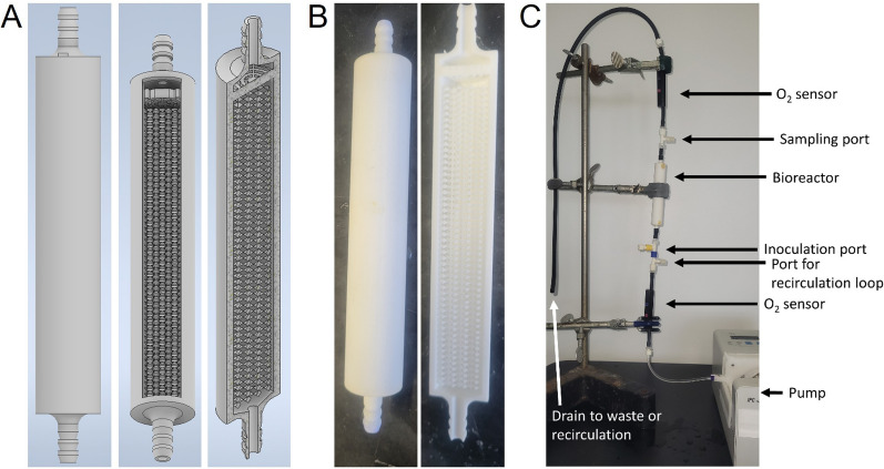 Lipid production from biofilms of Marinobacter atlanticus in a fixed bed bioreactor.