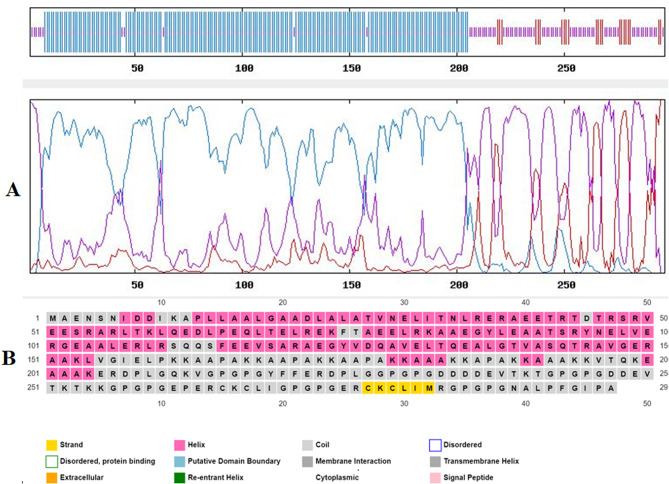 Designing multi-epitope vaccines against Echinococcus granulosus: an in-silico study using immuno-informatics.