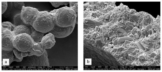 Updates on the conversion of nanosuspensions to solid oral dosage forms.