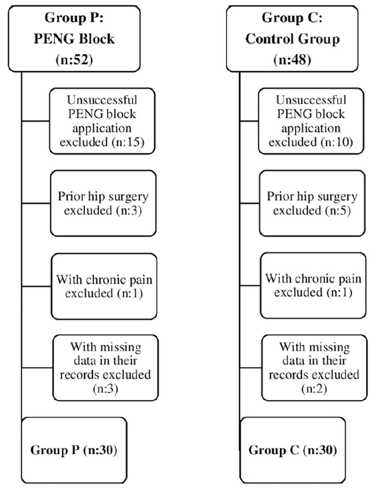 Efficacy of Preoperative Pericapsular Nerve Group Block in Patients with Hip Fracture and its Effect on the Success of Spinal Anaesthesia: A Retrospective Study.