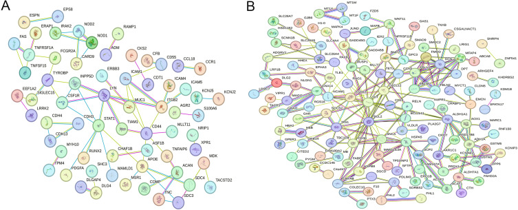 Screening and Studying of Blood miRNAs as Potential Diagnostic Markers for Papillary Thyroid Carcinoma.