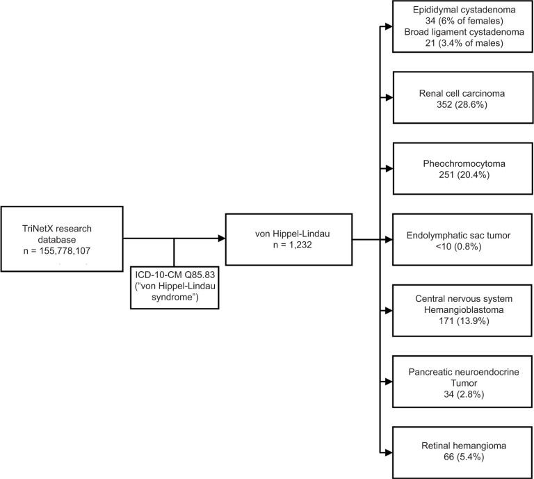 Is the TriNetX Database a Good Tool for Investigation of Real-World Management of Von Hippel-Lindau?
