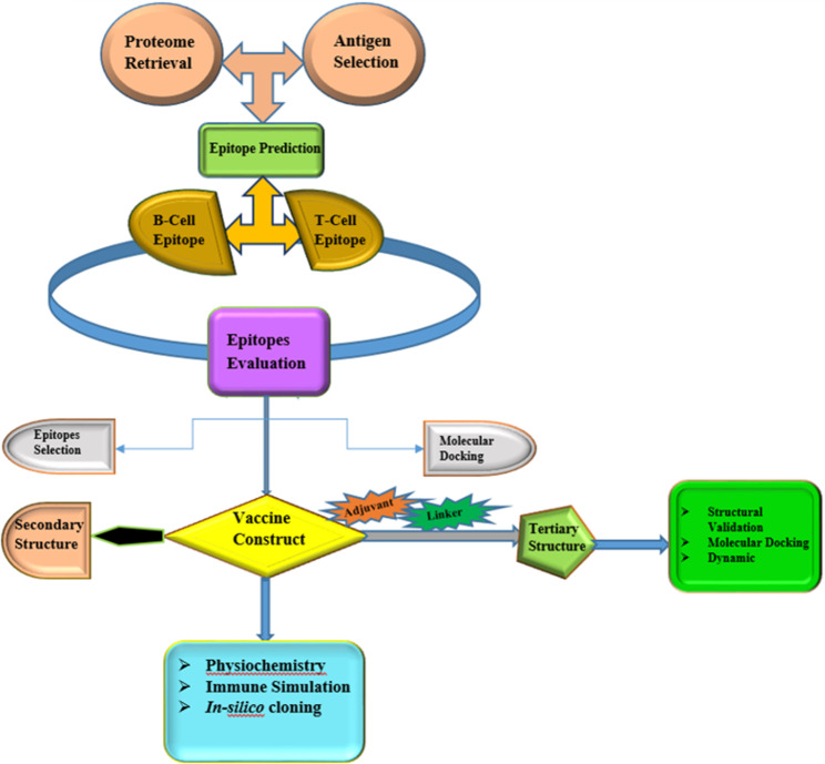 Designing multi-epitope vaccines against Echinococcus granulosus: an in-silico study using immuno-informatics.