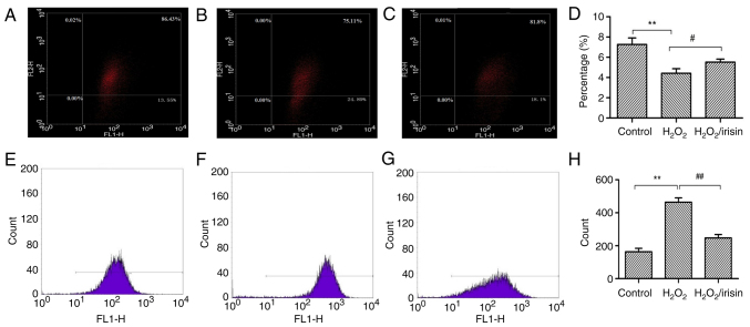 Irisin improves ROS‑induced mitohormesis imbalance in H9c2 cells.