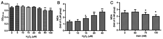 Irisin improves ROS‑induced mitohormesis imbalance in H9c2 cells.