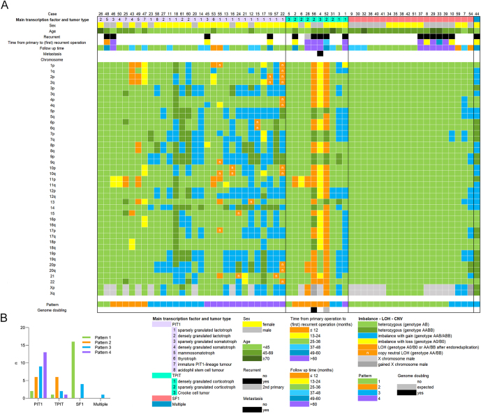Chromosomal alteration patterns in PitNETs: massive losses in aggressive tumors.