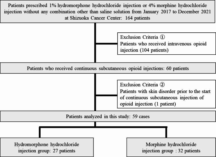 Comparison of continuous subcutaneous hydromorphone hydrochloride and morphine hydrochloride injection on skin disorders incidence: a retrospective study.