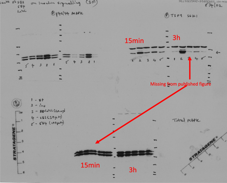 Correction: Glycogen Synthase Kinase-3 regulates IGFBP-1 gene transcription through the Thymine-rich Insulin Response Element.