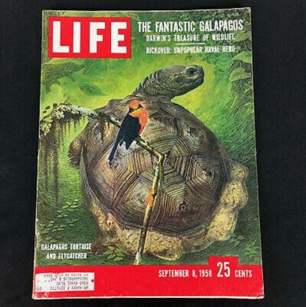 How to Civilize Elites: Controlling "Foreign Scientists" at a Field Station in the Galápagos Islands.
