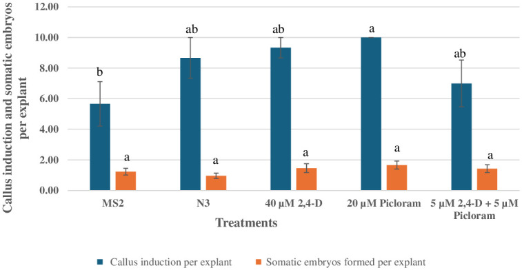 Somatic embryogenesis and shoot organogenesis in peanut cv. 'Georgia-12Y' and successful transfer to the soil.