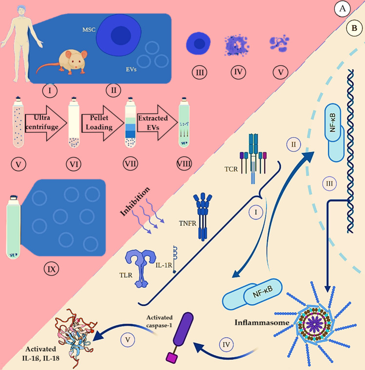 The Role of Extracellular Vesicles and Microparticles in Central Nervous System Disorders: Mechanisms, Biomarkers, and Therapeutic Potential.