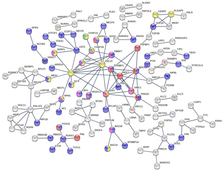Phospho-Proteomics Analysis of Early Response to X-Ray Irradiation Reveals Molecular Mechanism Potentially Related to U251 Cell Radioresistance.
