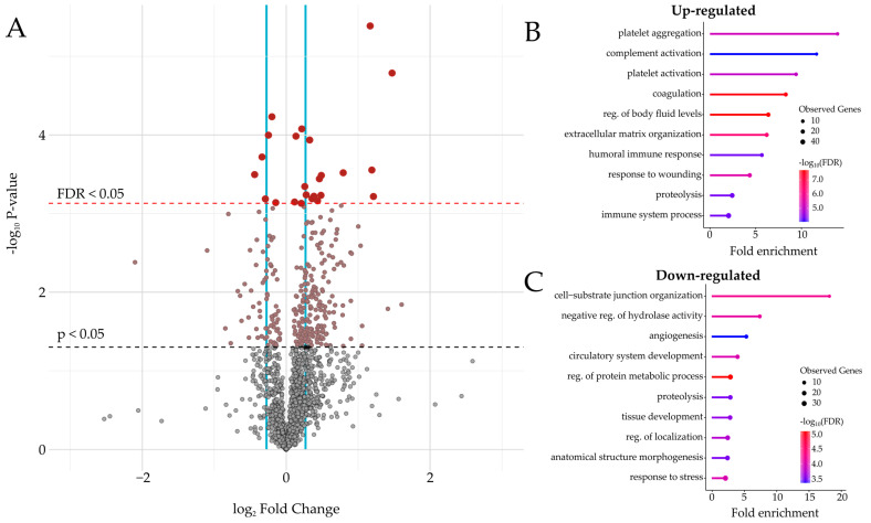 Affinity-Enriched Plasma Proteomics for Biomarker Discovery in Abdominal Aortic Aneurysms.